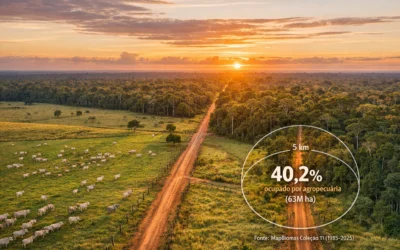 Agropecuária perto de áreas protegidas na Amazônia (2025)